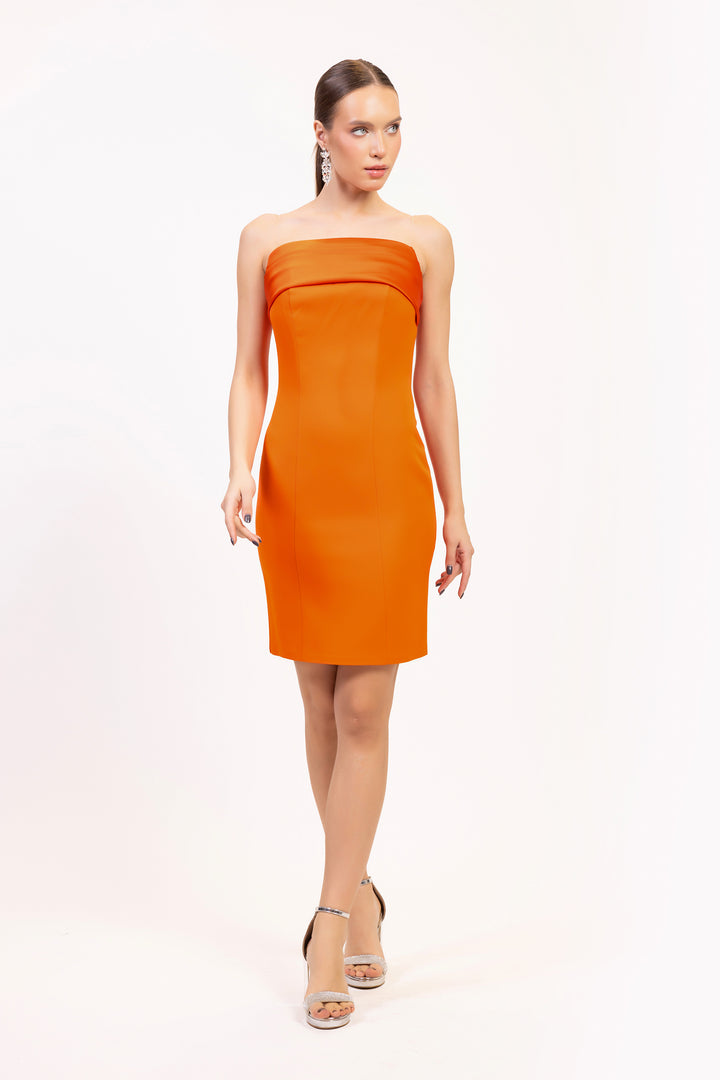 Odrella 2010 Dress - FOSTANI.com