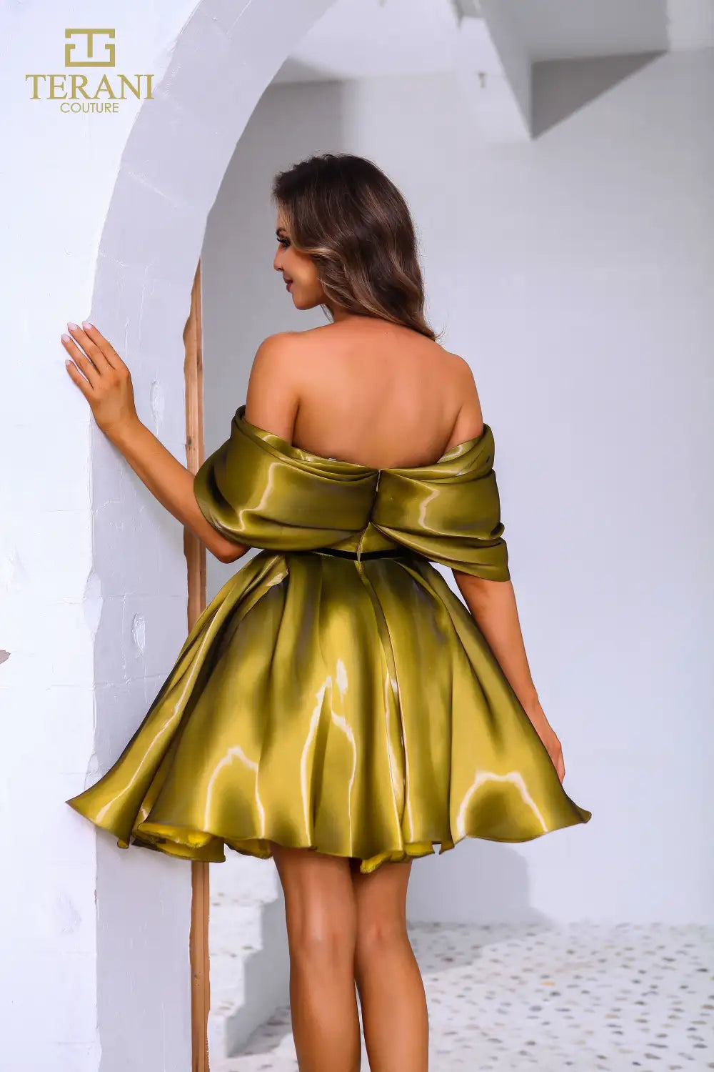 Terani 251C4045 Dress - FOSTANI.com