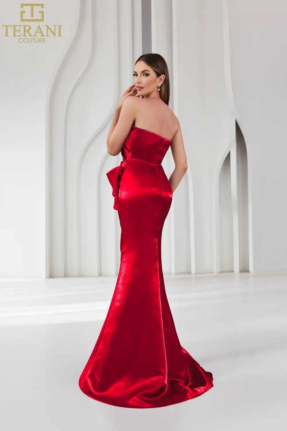 TERANI 251E4231 DRESS - FOSTANI.com