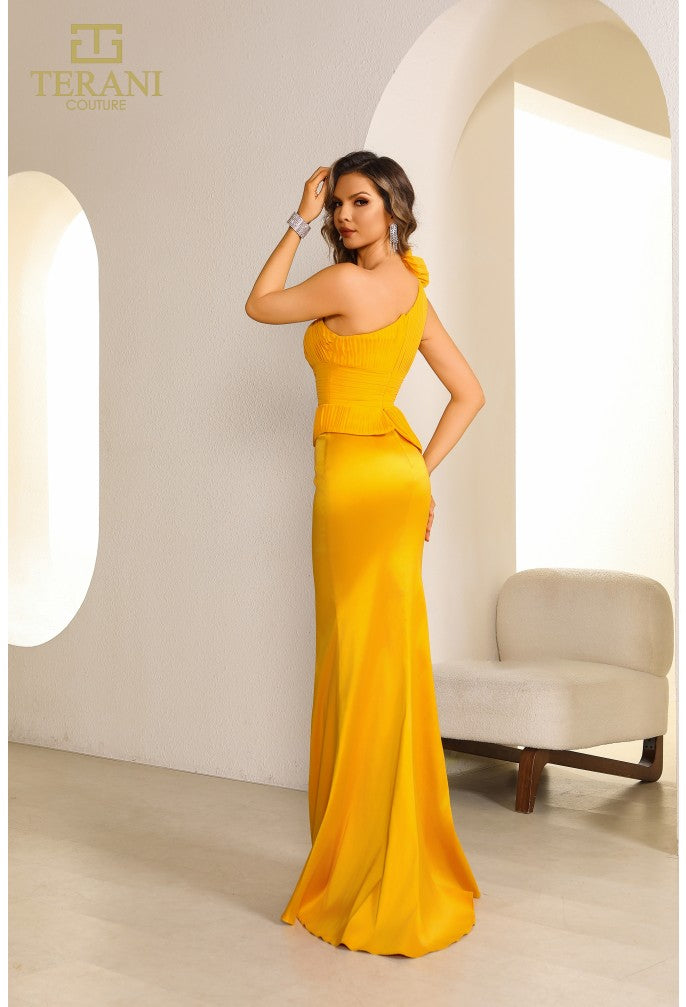TERANI 251E4578 DRESS - FOSTANI.com