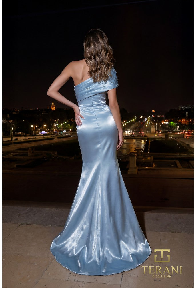 Terani 261E6227 Dress - FOSTANI.com