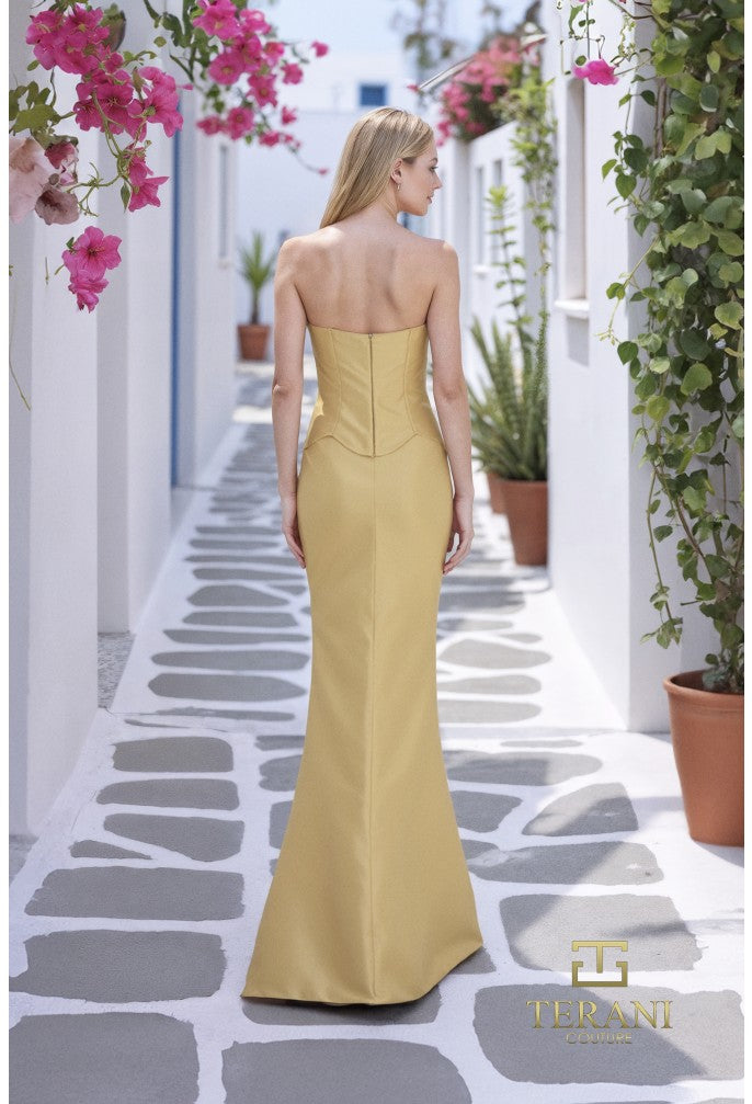 Terani 261E6292 Dress - FOSTANI.com