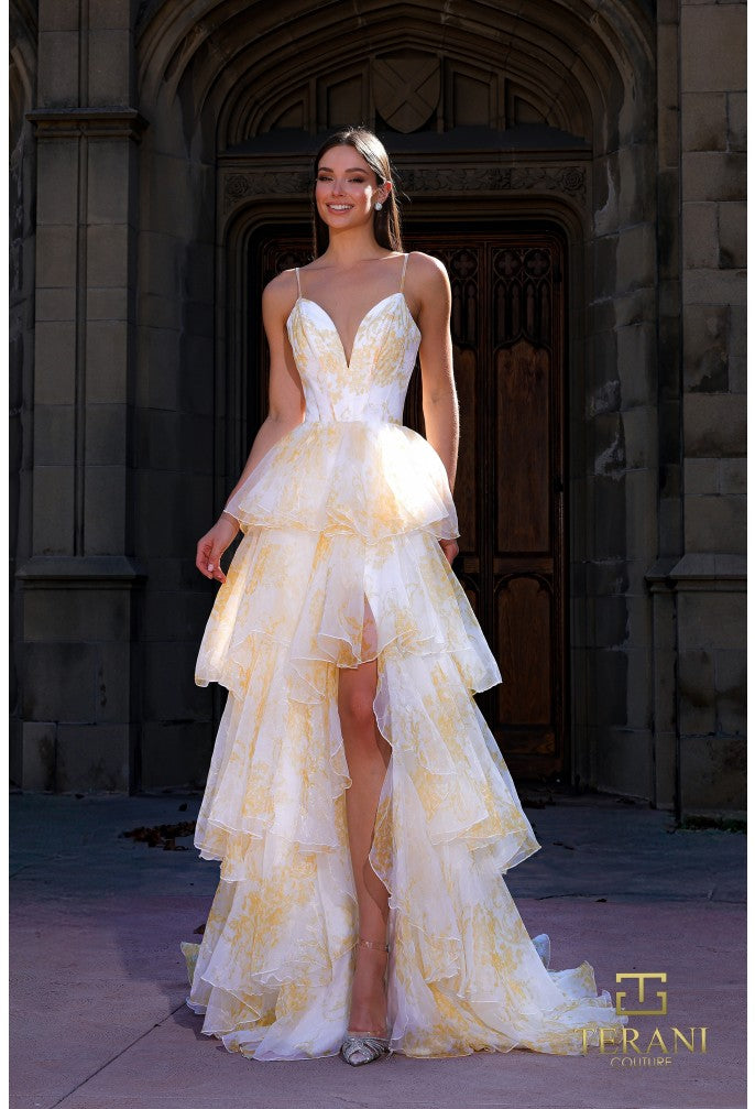 Terani 261P6673 Dress - FOSTANI.com