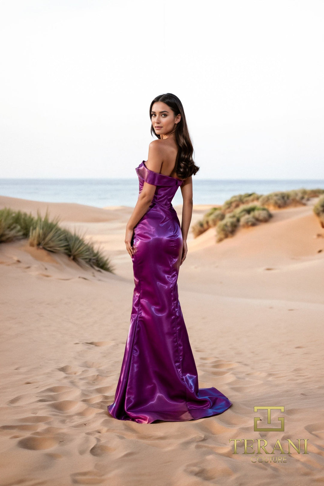 Terani 252E5162 Dress - FOSTANI.com