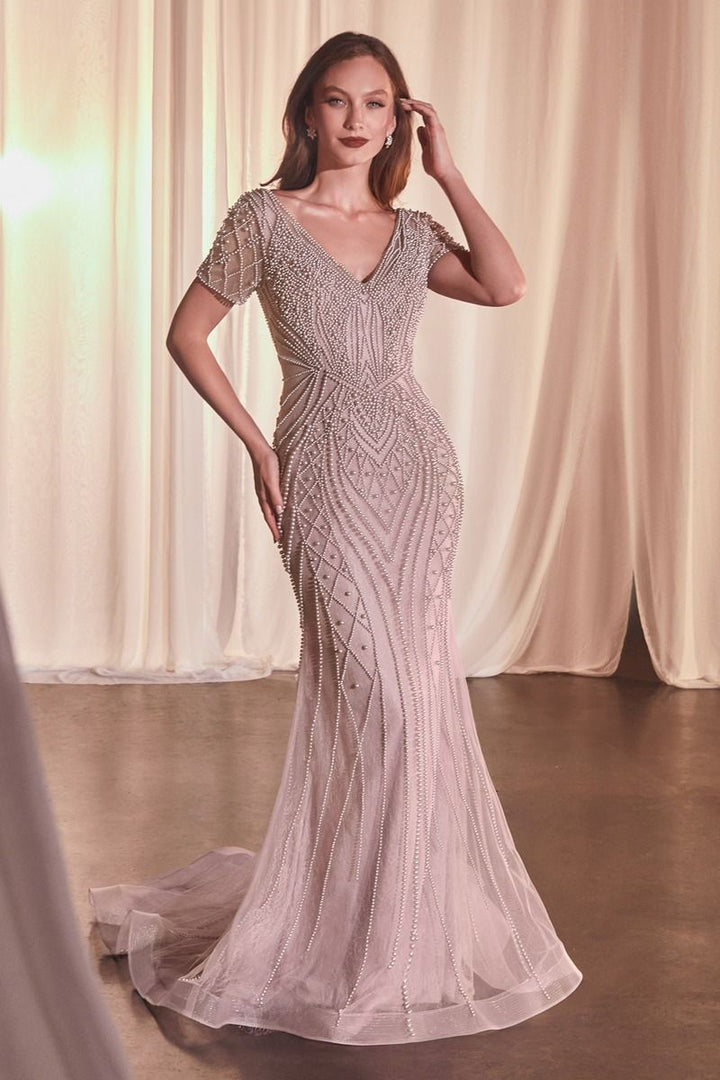 Cinderella Divine CC4019 DRESS - FOSTANI.com