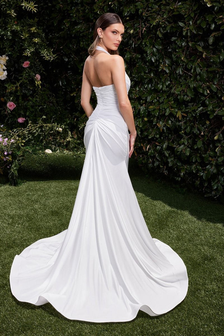 Cinderella Divine CD796W DRESS - FOSTANI.com