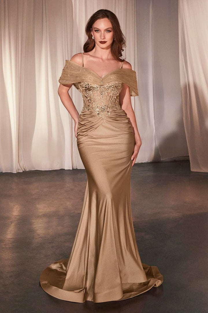 Cinderella Divine CD798 DRESS - FOSTANI.com