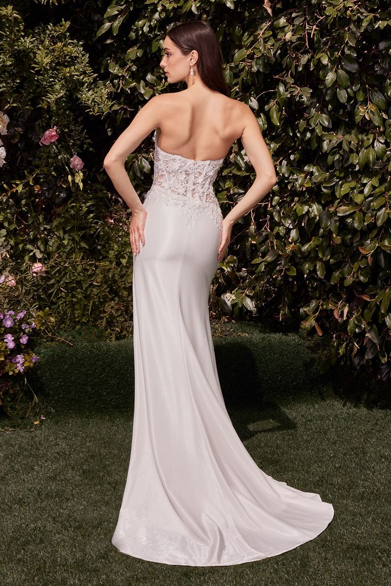 Cinderella Divine CDS465W DRESS - FOSTANI.com