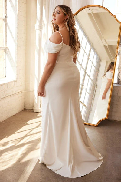 Cinderella Divine  KV1057WC Dress - FOSTANI.com