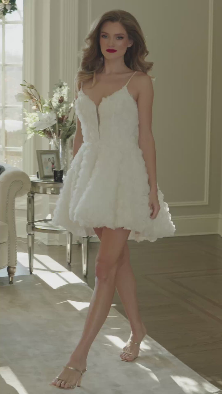 Colors 3679 Dress