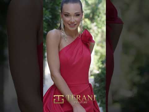 فستان تيراني 242E3110