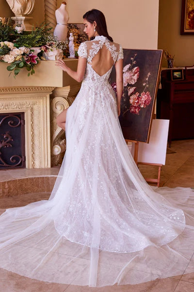ANDREA AND LEO WL035 DRESS - FOSTANI.com