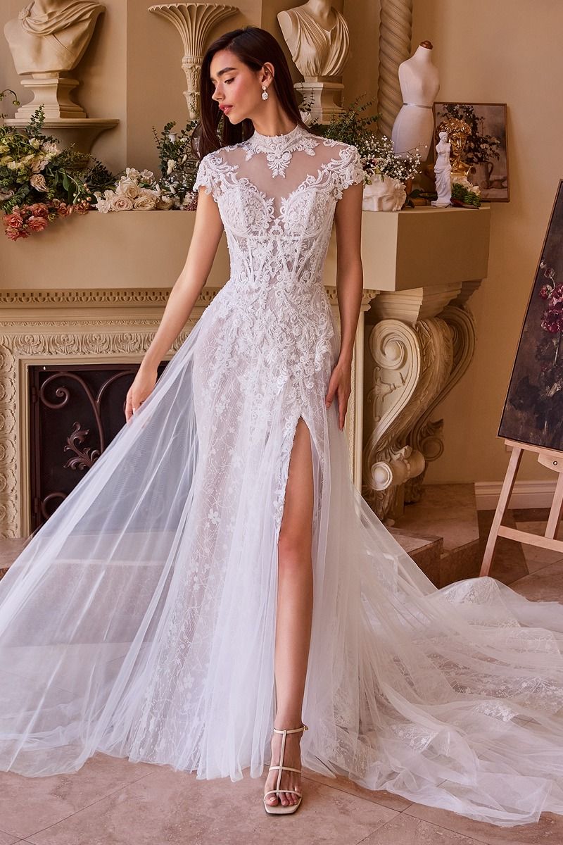 ANDREA AND LEO WL035 DRESS - FOSTANI.com