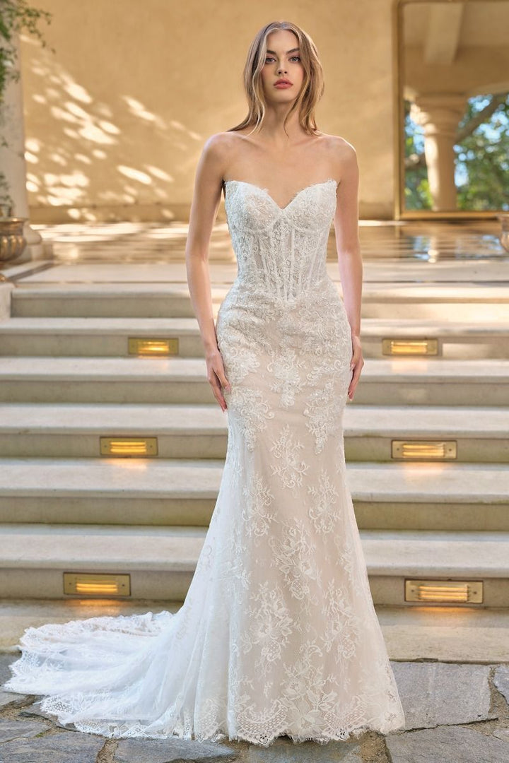 Andrea & Leo Couture WL071 Dress - FOSTANI.com