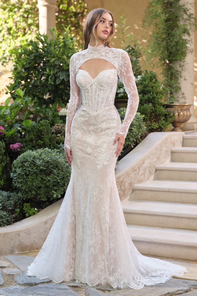 Andrea & Leo Couture WL071 Dress - FOSTANI.com