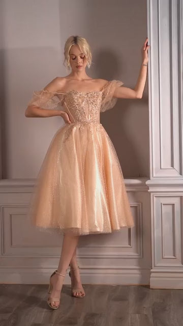 Ladivine  CD0187 Dress
