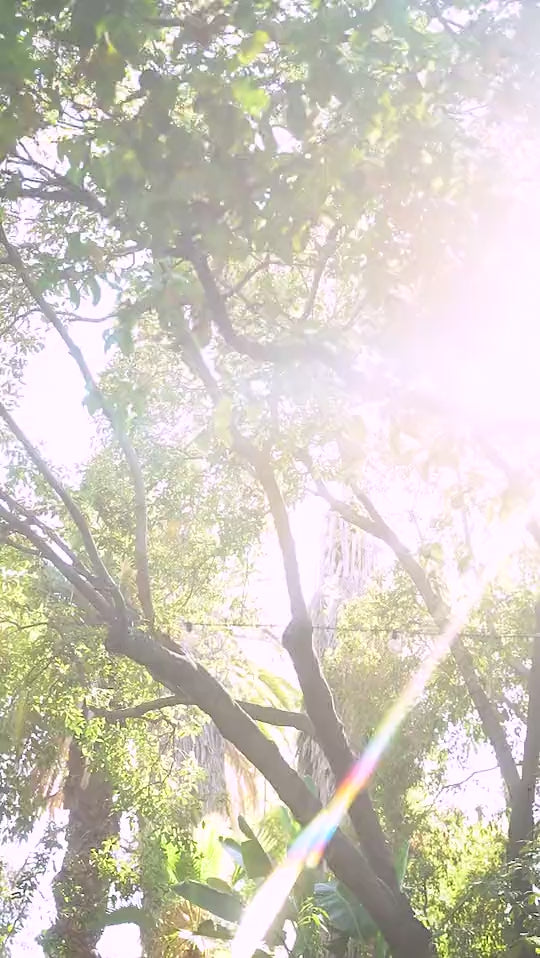 فستان أندريا وليو A1170